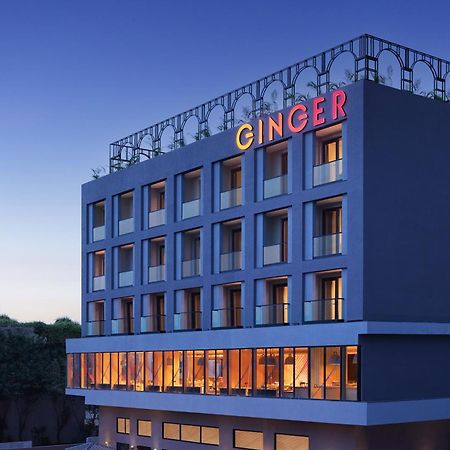Отель Ginger Udaipur, Shastri Circle Экстерьер фото